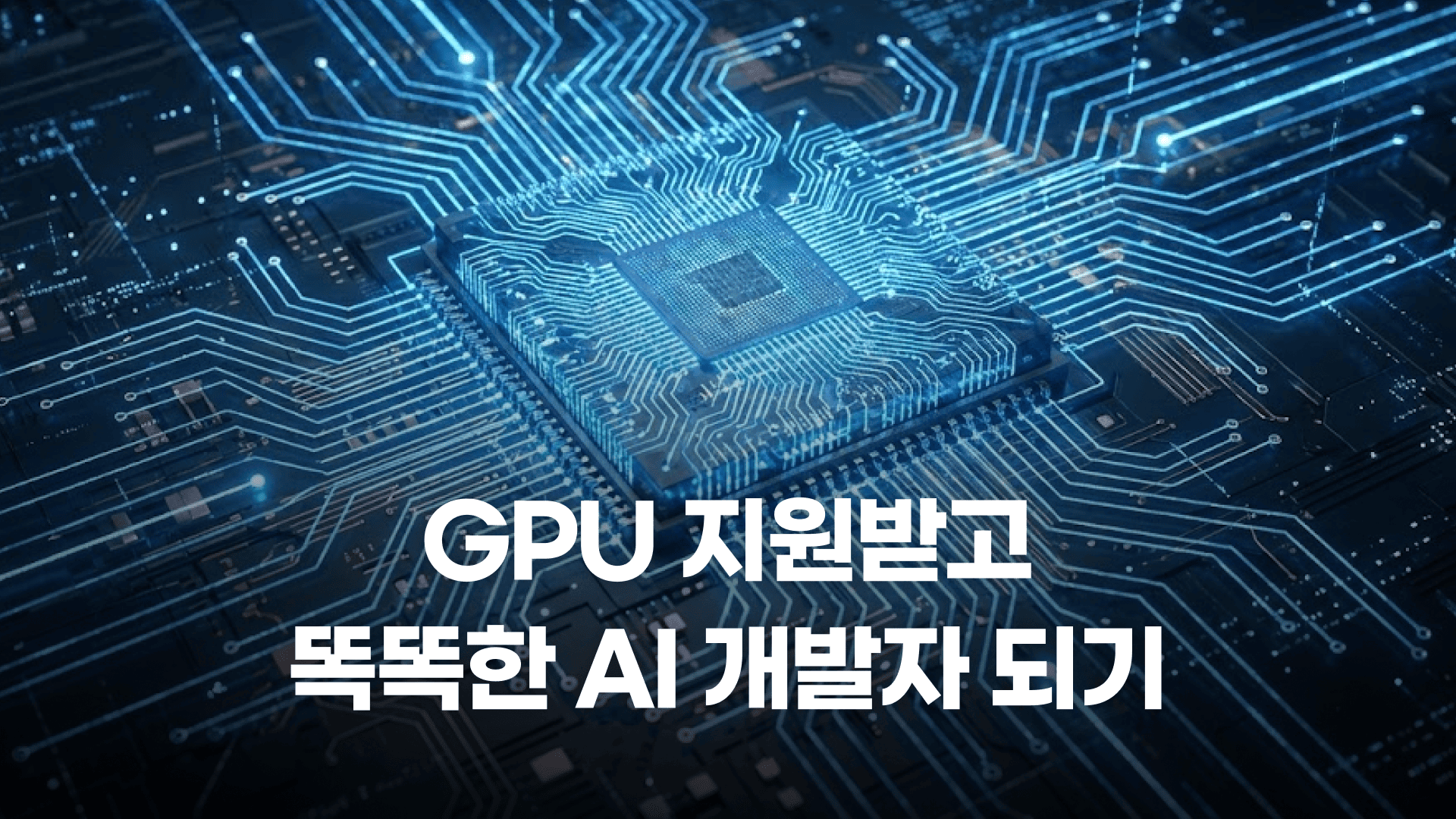 GPU 지원받고 똑똑한 AI 개발자되기